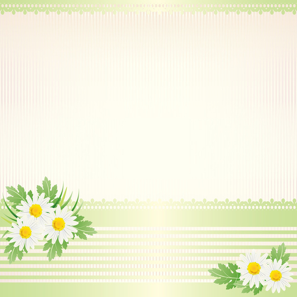 White daisy background - Vector, Image