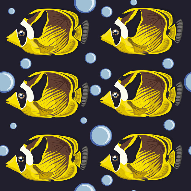 patrón sin costuras. peces tropicales
 - Vector, Imagen