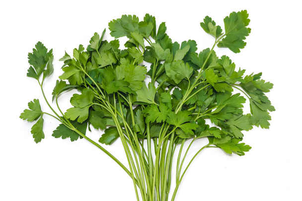 Bunch of parsley - Photo, Image