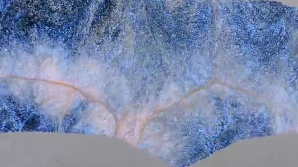 ブロンズ,パープル,ブルーアルコールインクの抽象的なアート背景デザイン. ペトリ皿のペンキの化学反応のマクロビデオ. - 映像、動画