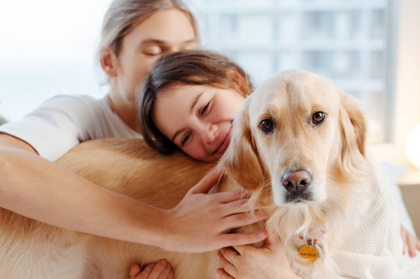 Feliz feliz pareja abrazando lindo perro golden retriever sentado en casa acogedora. Amor, concepto de amistad  - Foto, imagen