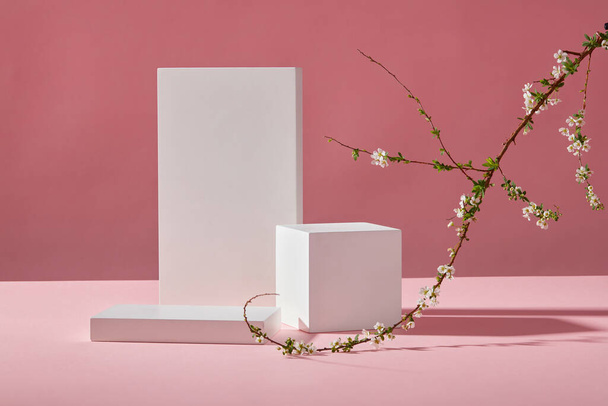 Escena mínima abstracta: podios blancos vacíos, dos geometrías y una rama de flores blancas sobre un fondo rosa moderno y sombras de flores. Espacio para el producto de exhibición. Vista frontal. - Foto, Imagen