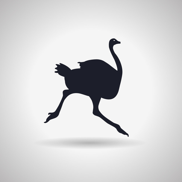 Silhouette of a African ostrich - Vector, Image