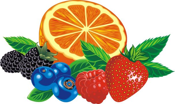 frutas exóticas aisladas
 - Vector, Imagen