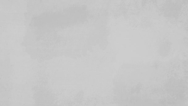 Abstracte achtergrond van geanimeerd wit marmer. Witte achtergrond. Hoge kwaliteit animatie. 4k animatie - Video