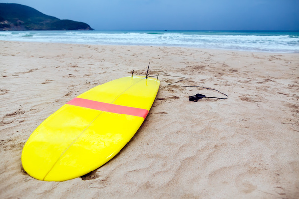Rada surfování na pláži - Fotografie, Obrázek