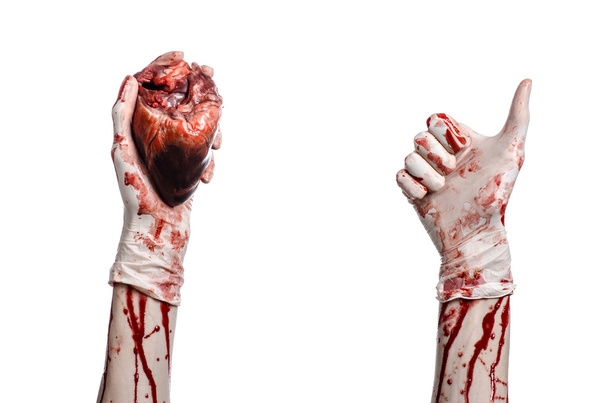 Operation and medicine theme: Bloody hand surgeon holding a human heart in a bloody white gloves isolated on a white background in studio - Fotoğraf, Görsel