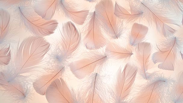 Peach colored fluffy feathers texture. Color of the year 2024 background. - Photo, Image