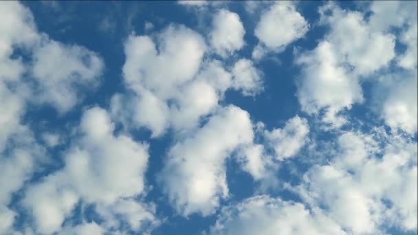 Кадри білих пухнастих хмар, що течуть на блакитному небі з парою літаючих птахів - Кадри, відео