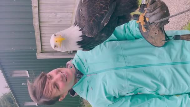 VERTICAL, PORTRAIT: Tourist holds a magnificent bald eagle at falconry center. Authentic and memorable educational experience with a wild bird of prey for a young woman travelling around Scotland. - Footage, Video