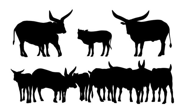 Conjunto de silhuetas de vacas africanas sagradas
 - Foto, Imagem