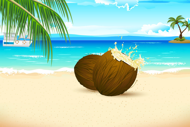 海のビーチでの新鮮なココナッツ - ベクター画像