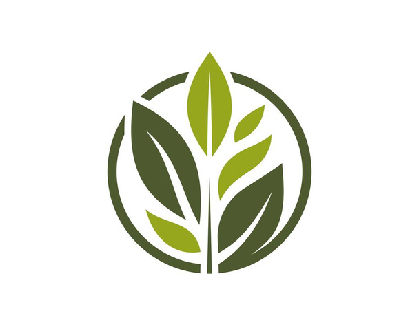Эко логотип. зеленые листья, органические и природные символы. изолированное векторное изображение в плоской конструкции - Вектор,изображение