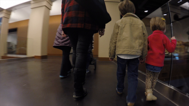 博物館を歩く若い家族 - 映像、動画