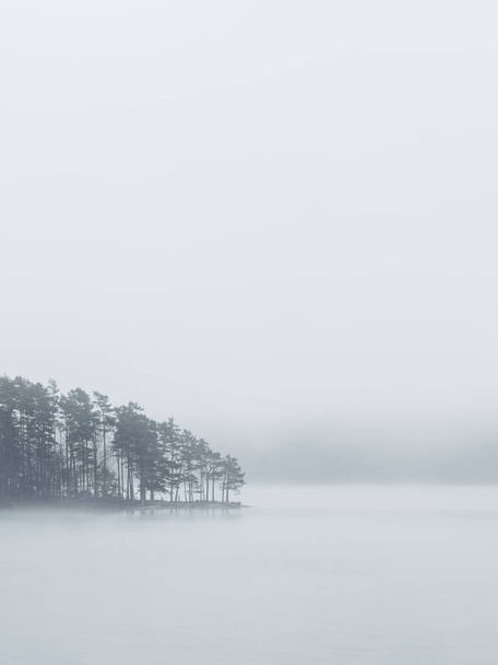 Měkké, éterické mlhové závěsy nad klidným jezerem a ostrůvkem borovic vytvářejícím klidnou, monochromatickou scénu. - Fotografie, Obrázek