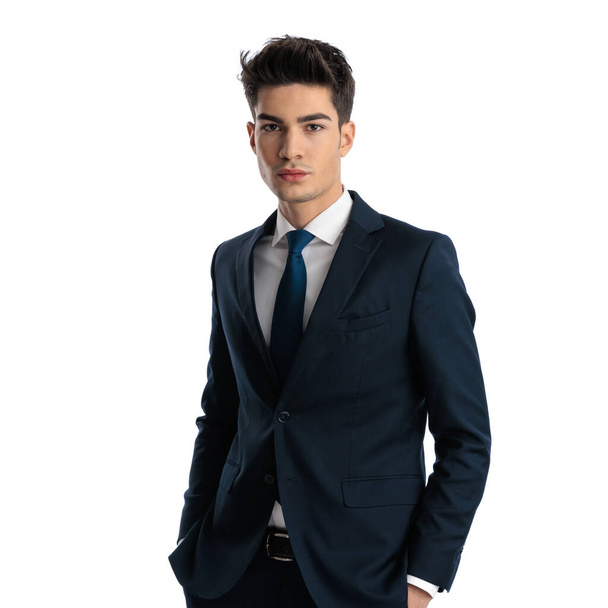 ritratto di giovane uomo d'affari sexy in abito blu navy con cravatta che tiene le mani in tasche e posa davanti allo sfondo bianco - Foto, immagini