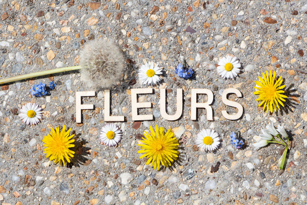 Fleurs en français en lettres de bois et quelques fleurs sur le trottoir - Photo, image