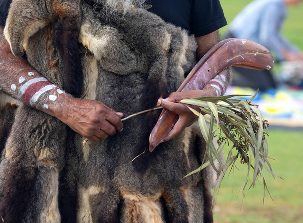 Ihmisen käsi pitää rituaali clapsticks ja vihreä eukalyptus haara tervetullut rituaali riitti alkuperäiskansojen yhteisön tapahtuma Australiassa - Valokuva, kuva