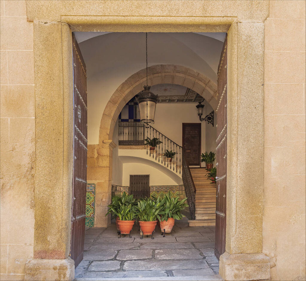 Дивлячись через дверний проріз стародавнього будинку в коридор, заповнений рослинами - Фото, зображення