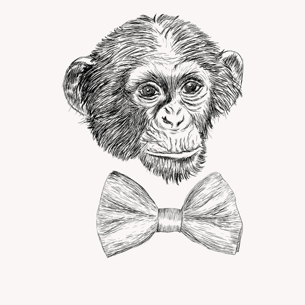 Sketch cara de macaco com laço
. - Vetor, Imagem
