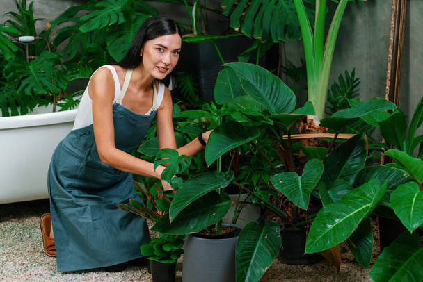 Joven jardinero femenino que tiende y cultiva a la planta tropical en el estilo arquitectónico minimalista de hormigón jardín de follaje de plantas exóticas de verano, jardinería casera para el estilo de vida ambientalista. Blithe. - Foto, Imagen