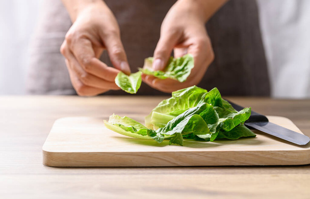 Biologische cos romaine salade, voedselingrediënt voor gezonde salade - Foto, afbeelding