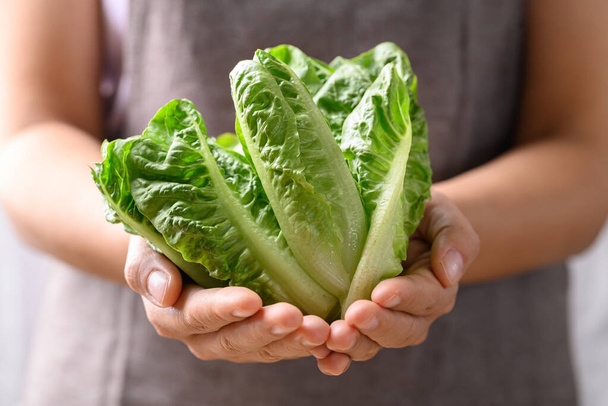 Organikus, mert romain saláta gazdaság női kézzel, élelmiszer-összetevő az egészséges saláta - Fotó, kép