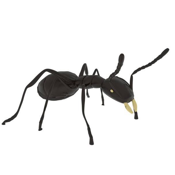 Ant απομονώνονται σε λευκό φόντο. Υψηλής ποιότητας τρισδιάστατη απεικόνιση - Φωτογραφία, εικόνα