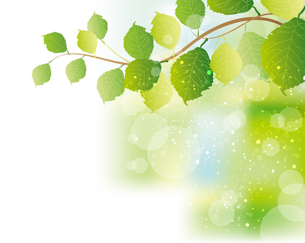 緑の葉の背景 - ベクター画像