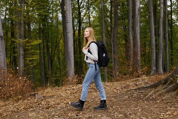 blonde woman adventurer in cozy, sweater and jeans, walking through the forest with curiosity - Photo, image