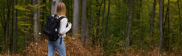 Back view of blonde woman adventurer walking through the forest discovering new paths, banner - Foto, afbeelding