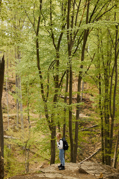 Top näkymä blondi nainen seikkailija viihtyisä pusero ja farkut yllään reppu, seisoo metsässä - Valokuva, kuva