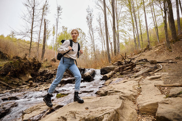 Young blonde female hiker wearing sweater and jeans crossing the forest creek walking in woods - Photo, Image