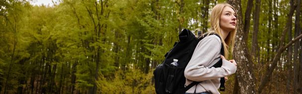Side view of woman tourist with backpack at footpath in woodland hiking at autumn forest, banner - Fotografie, Obrázek