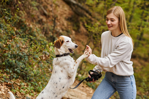 Smiling woman training her pet dog holding leash at hiking halt in deep forest - Фото, зображення