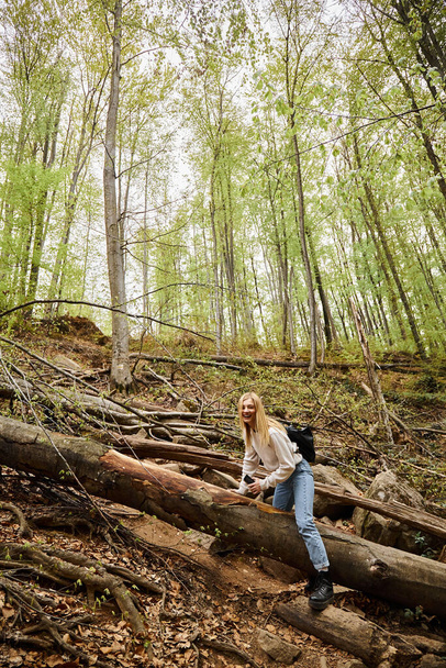 Naurava iloinen blondi retkeilijä tyttö indeksoi puuta metsässä samalla vaellus, seikkailu - Valokuva, kuva