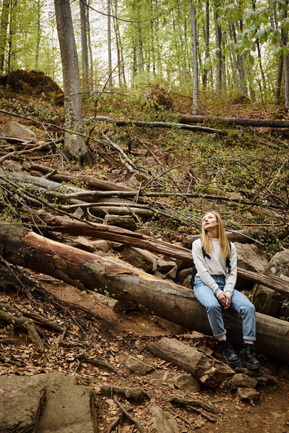 Young blonde female hiker resting during trekking, adventure, young woman resting in forest - Photo, Image
