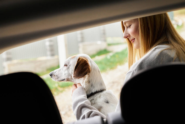 Cute dog sitting with beautiful female blonde woman in car looking away while riding - Fotó, kép