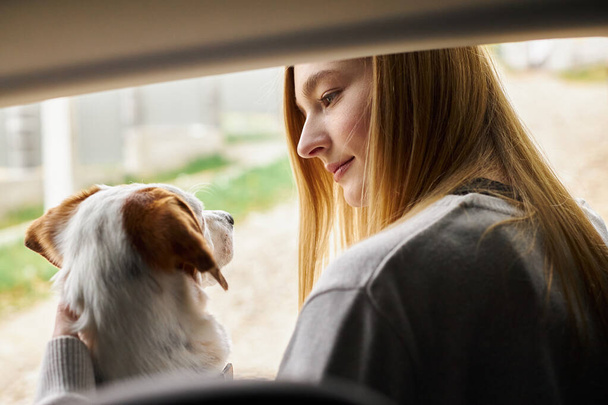 Красива жіноча блондинка сидить з милою собакою в машині дивлячись один на одного під час подорожі - Фото, зображення
