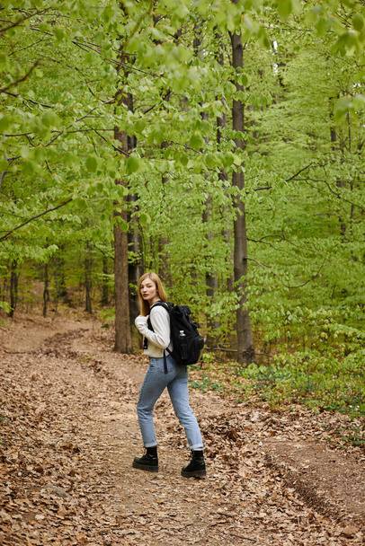 fiatal szőke nő túrázó visel hátizsák keresztezi az erdei utat séta az erdőben - Fotó, kép