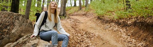 Nieuwsgierige blonde vrouwelijke wandelaar in rugzak, rustend op rotsen, zittend in diepe bossen, spandoek - Foto, afbeelding