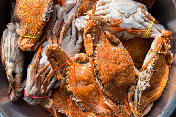 Crabes bouillis
  - Photo, image