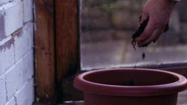 Gardener adding soil to plant pot background pot medium slow motion 4k shot selective focus - Footage, Video