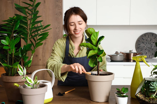 Female gardener taking care of plant in kitchen - Valokuva, kuva