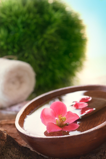 Spa setting with flower - 写真・画像