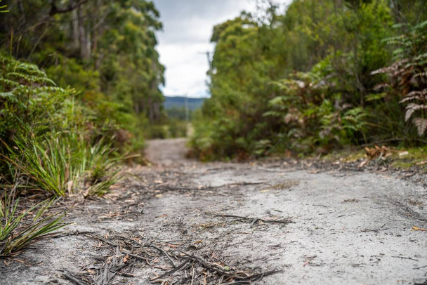 calçadão trilha a pé em um parque nacional na tasmânia austrália  - Foto, Imagem