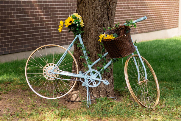 Dekoratives Fahrrad mit Blumenkorb am Baum. - Foto, Bild