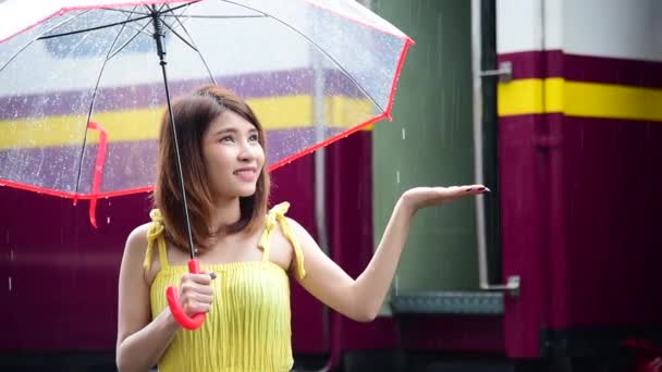 Młoda kobieta trzymająca parasol na zewnątrz podczas ulewnego deszczu. Azjatki trzymają parasole w dłoniach na świeżym powietrzu zielony park przyrody. Świeże powietrze chłodne pogoda portret kobiety na zewnątrz podróży w porze deszczowej - Materiał filmowy, wideo