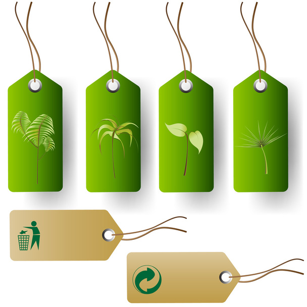 Etiqueta ecológica verde
 - Vector, imagen