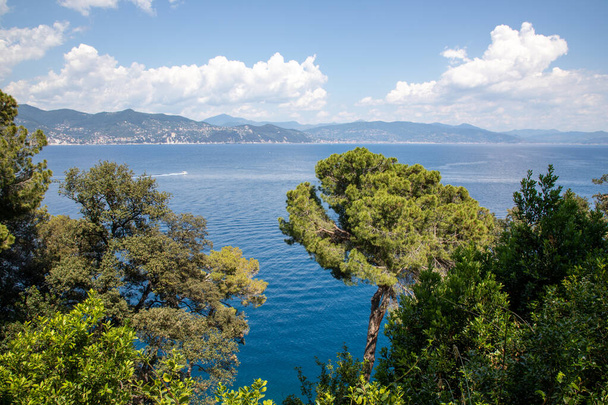 Liguria Portofino İtalya kıyıları Akdeniz 'in güney Avrupa dalgaları uçurum üzerinde - Fotoğraf, Görsel
